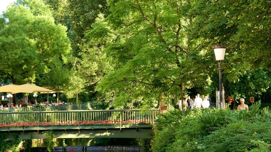 Northern Black Forest