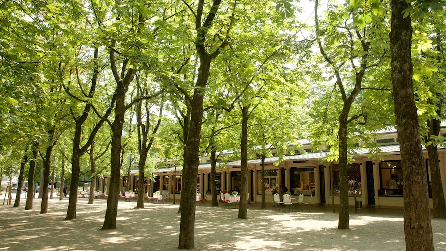 Baden-Baden which includes street scenes