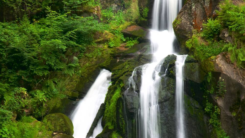 A multi-tiered waterfall surrounded by lush green vegetation.