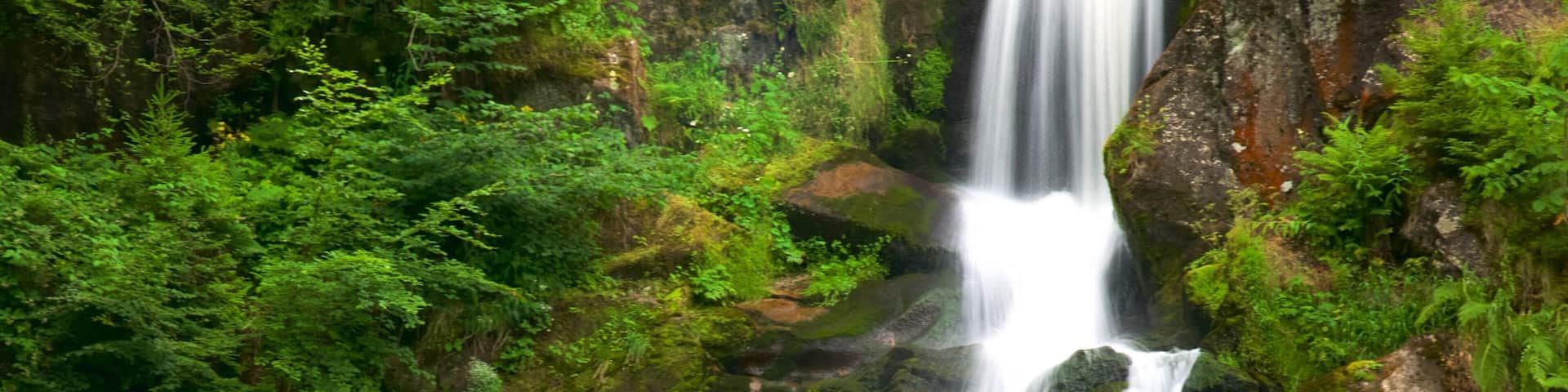Central Black Forest featuring a cascade