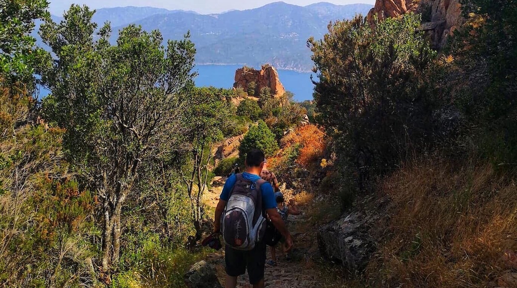 Fabulous path above the Calanques de Piana Corsica #Nature