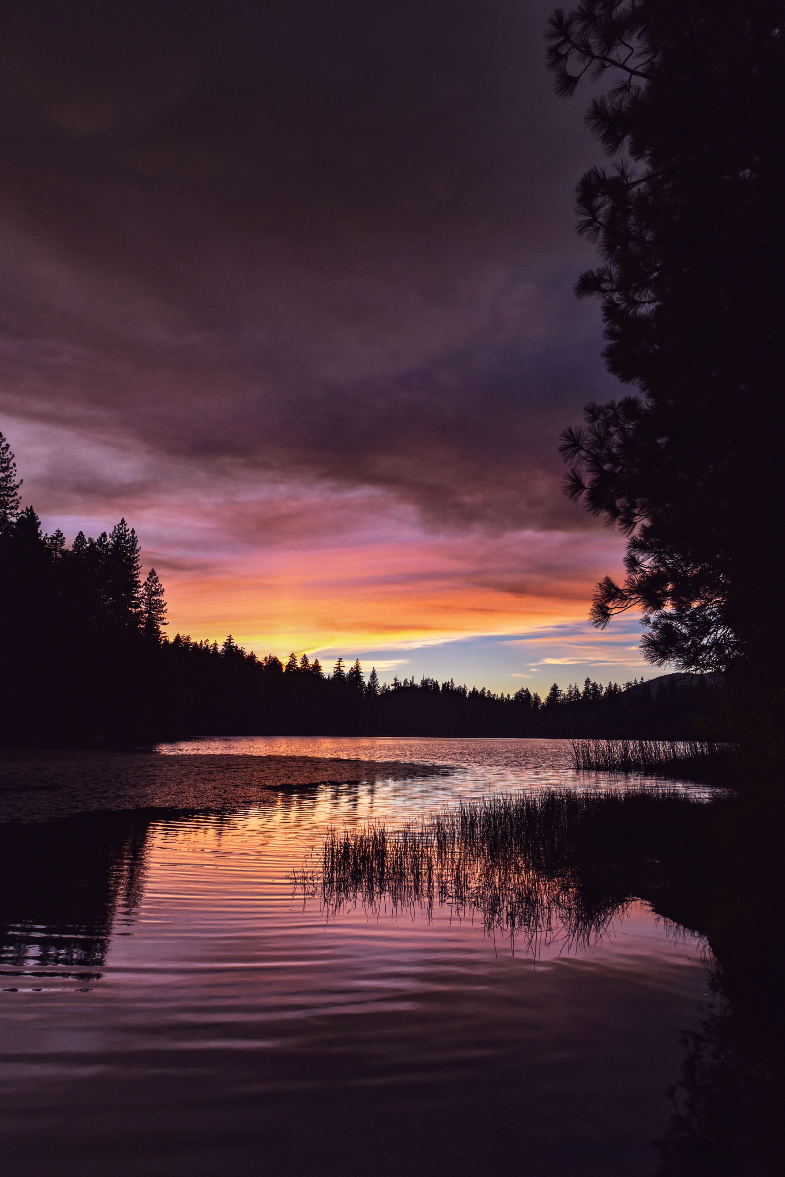 California sunset over lake surrounded by forest