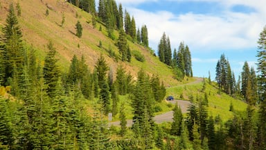 Northern Interior California featuring tranquil scenes