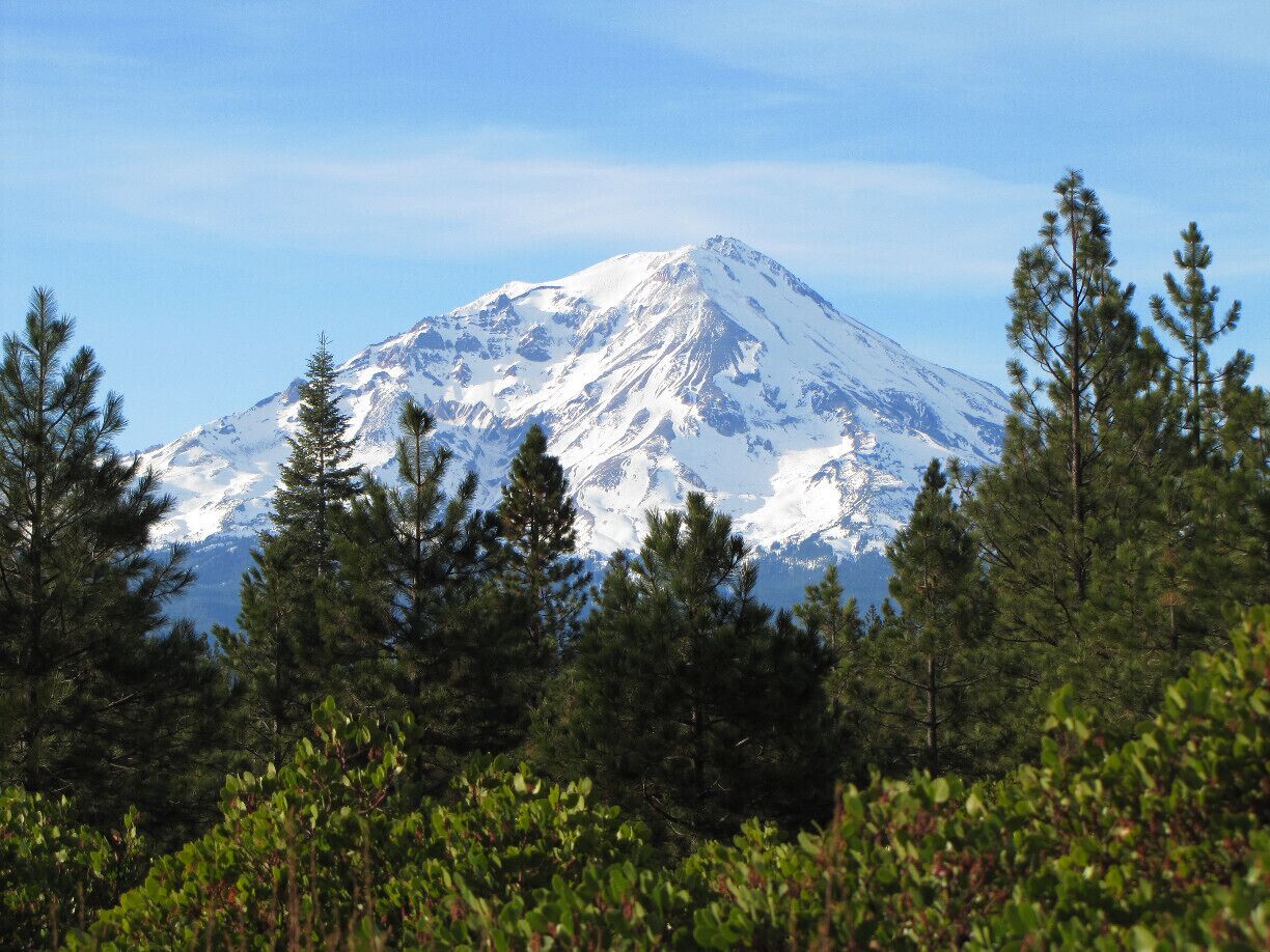 A snow-capped mountain with a clear sky, surrounded by dense green forest.