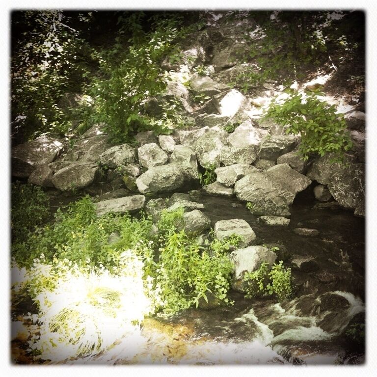 Mt. Shasta Big Springs - Headwaters of the Sacramento River. 