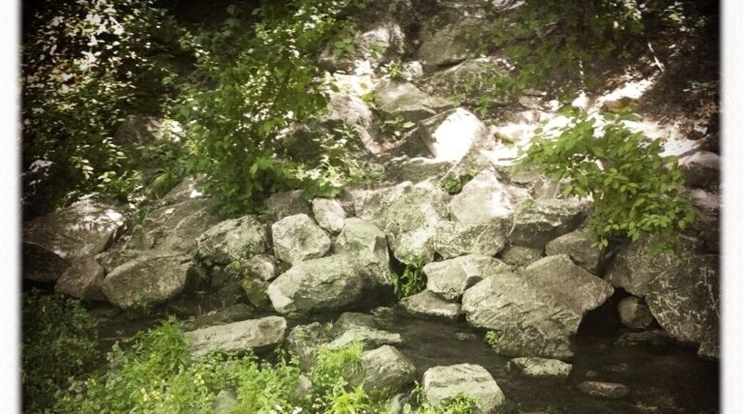 Mt. Shasta Big Springs - Headwaters of the Sacramento River.