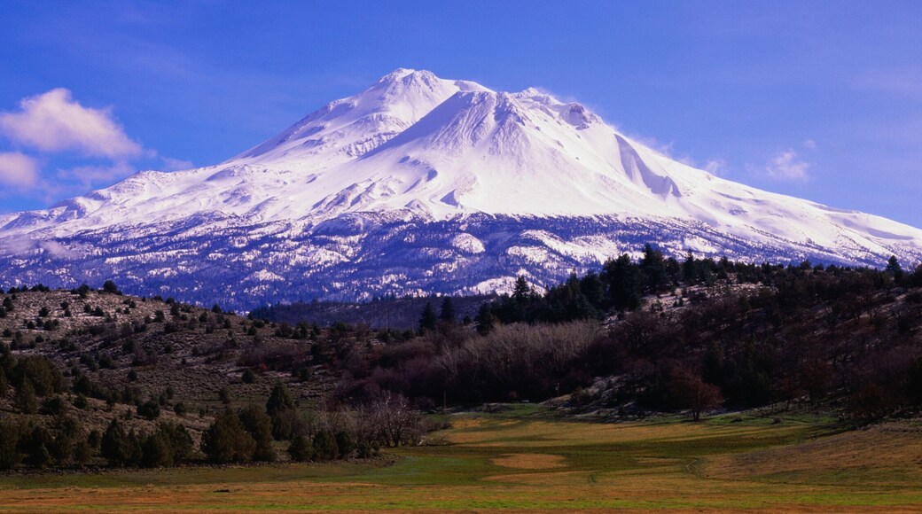 Mount Shasta
