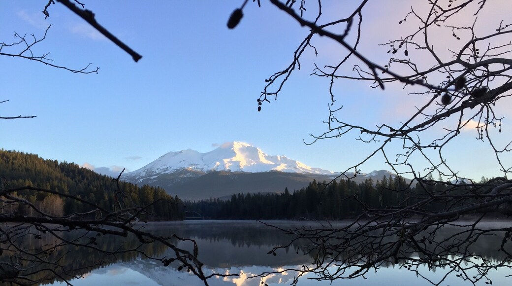 I stopped by Siskiyou lake for a beautiful reflection of Mt Shasta
Photo taken iPhone 28 Dec 2014