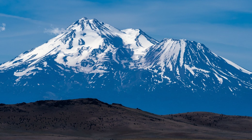 Mount Shasta