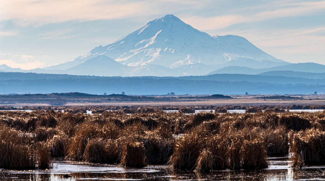 Wildlife refuge and Mount Shasta California