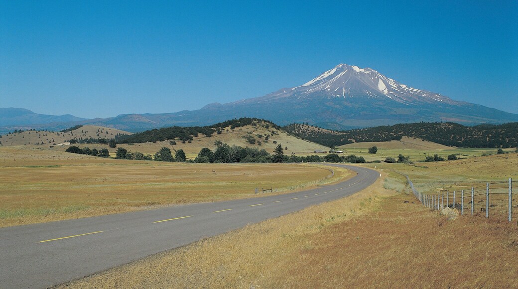 Mount Shasta