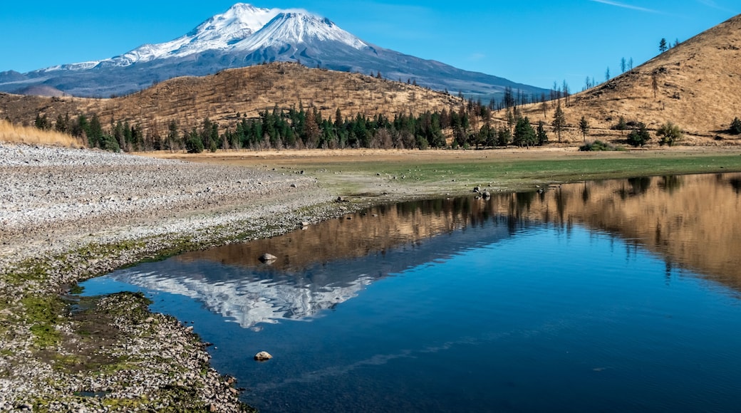 Snow capped mount shasta with a blue sky and reflection in lake