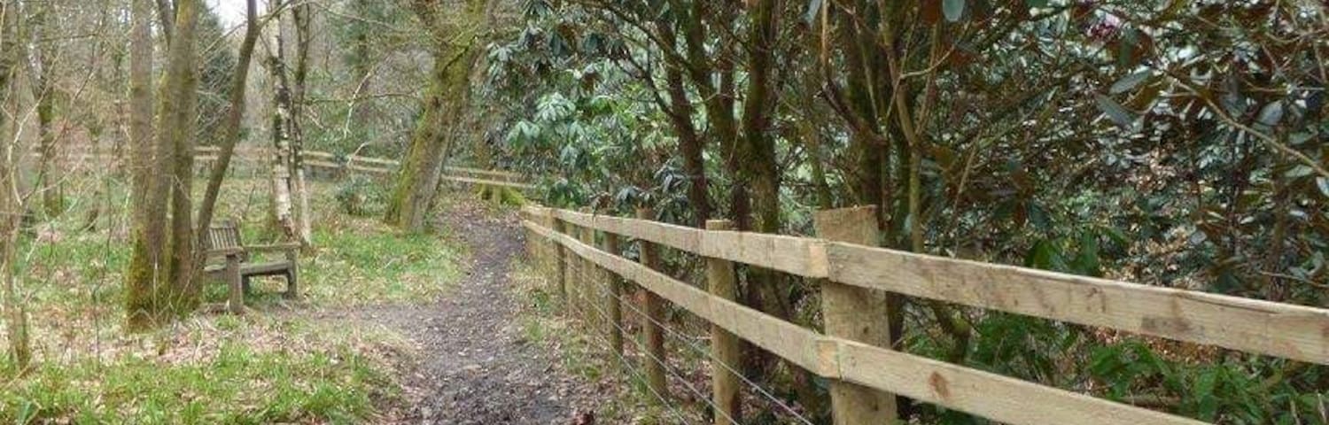 Nature trail through woodland winding its away up to Inglebrough Cave.