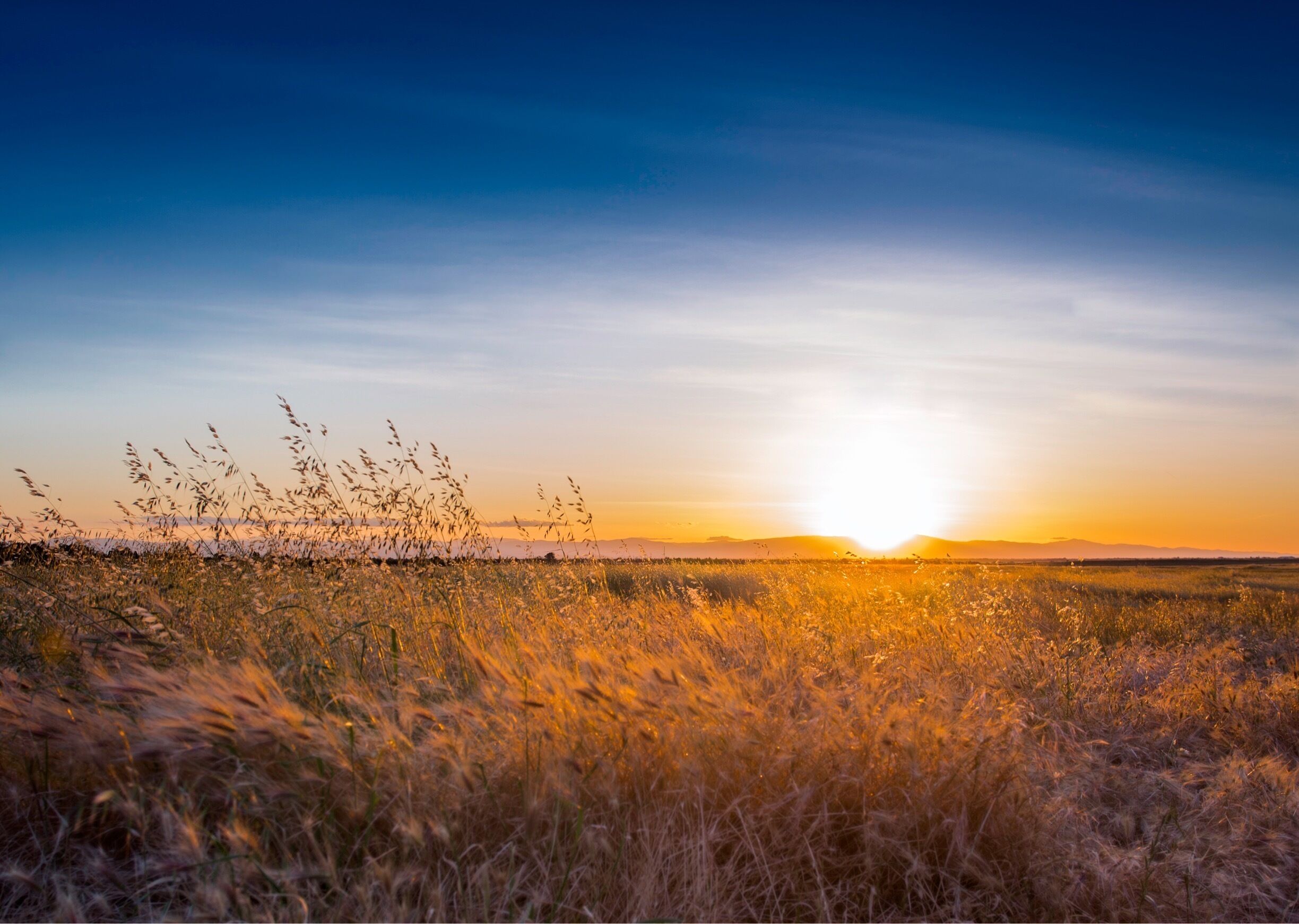 Sunset in Upper Bidwell Park
#hometown