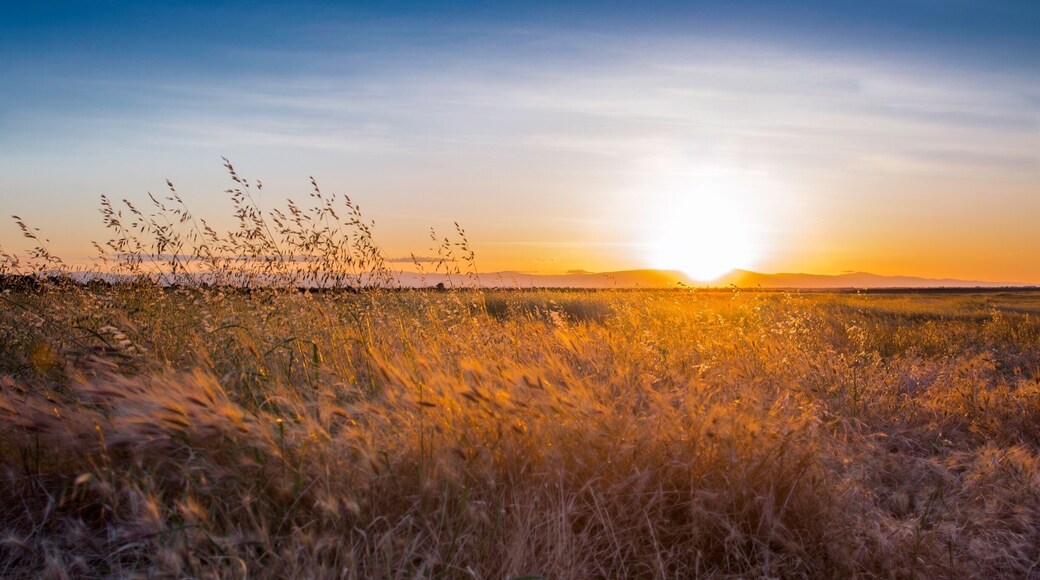 Sunset in Upper Bidwell Park
#hometown