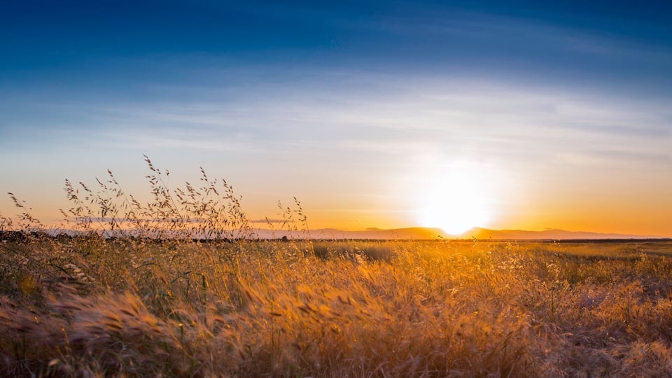 Sunset in Upper Bidwell Park
#hometown