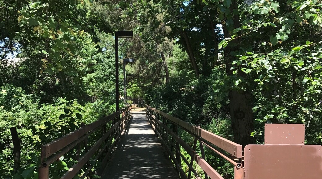 Over this bridge and to the right is the Rose Garden