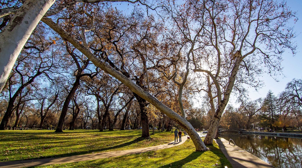 Chico One Mile Recreation Pool, Chico, CA
