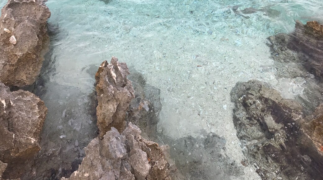 Next to the camping area a wonderful stone beach