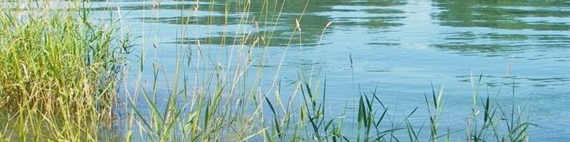 North end of Red Bluff city park looking across the vast Sacramento River. Great for water sports - but not swimming! Even in summer heat, the water is ice-cold and has serious undertows.