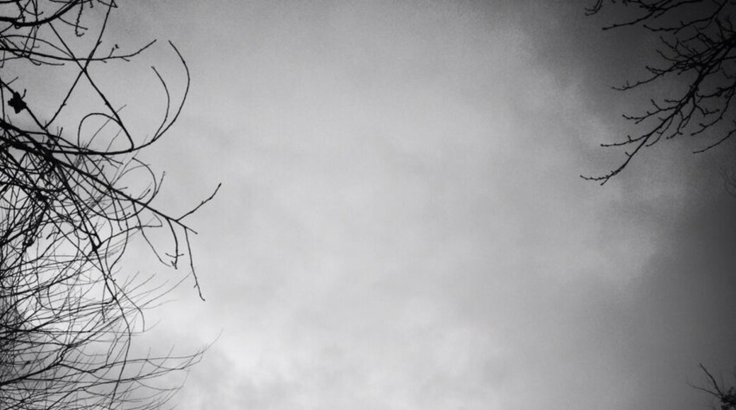 Looking across Clear Lake at the volcano sleeping in the distance