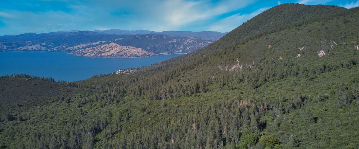 A mountainous landscape with dense forests and a lake in the background.