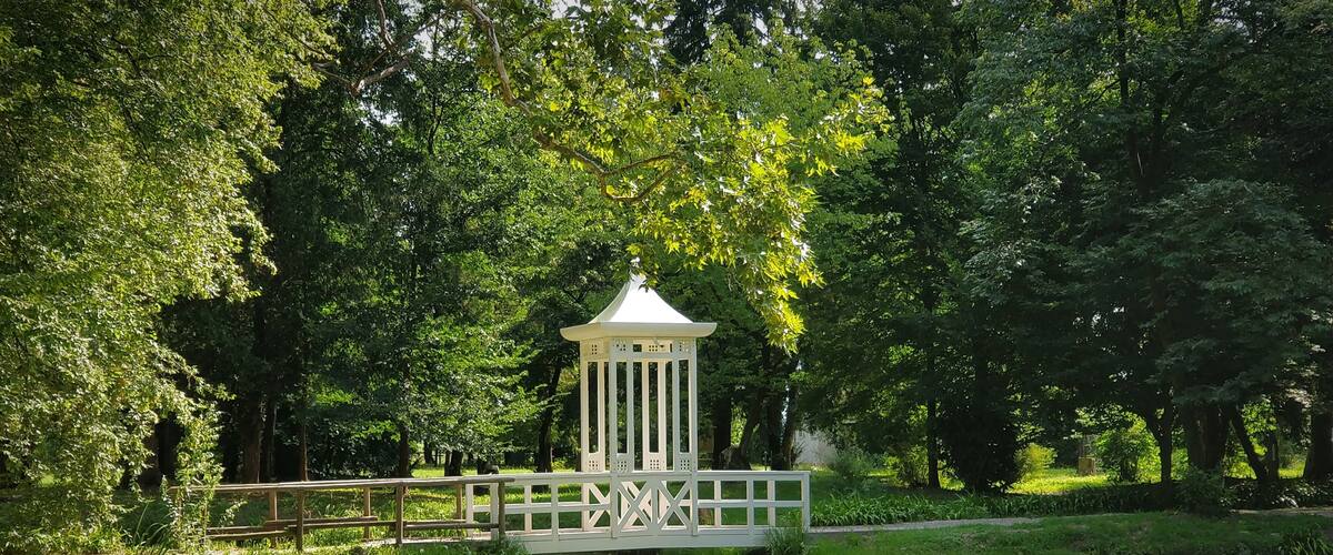 A white gazebo by a pond surrounded by lush greenery.