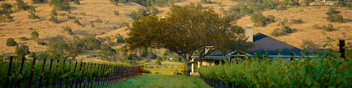 Région viticole de Californie qui includes ferme, panoramas et scènes tranquilles