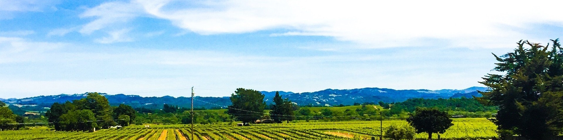 Caption---- California Wine Country