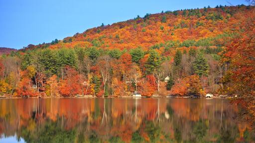 Fall Reflections on Goodyear Lake. Town of Milford, NY.