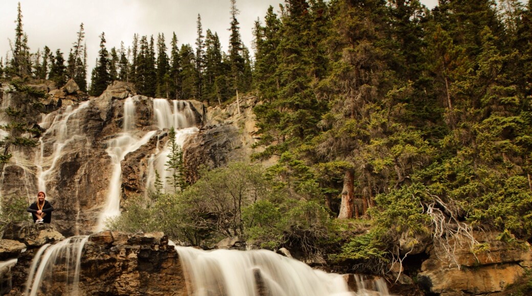 Tangle Falls is a beautiful waterfall just off the the 93 and north of the Athabasca Glacier in the Columbia Icefields. This beautiful waterfall is one of many amazing views and sights along this incredible stretch of highway.