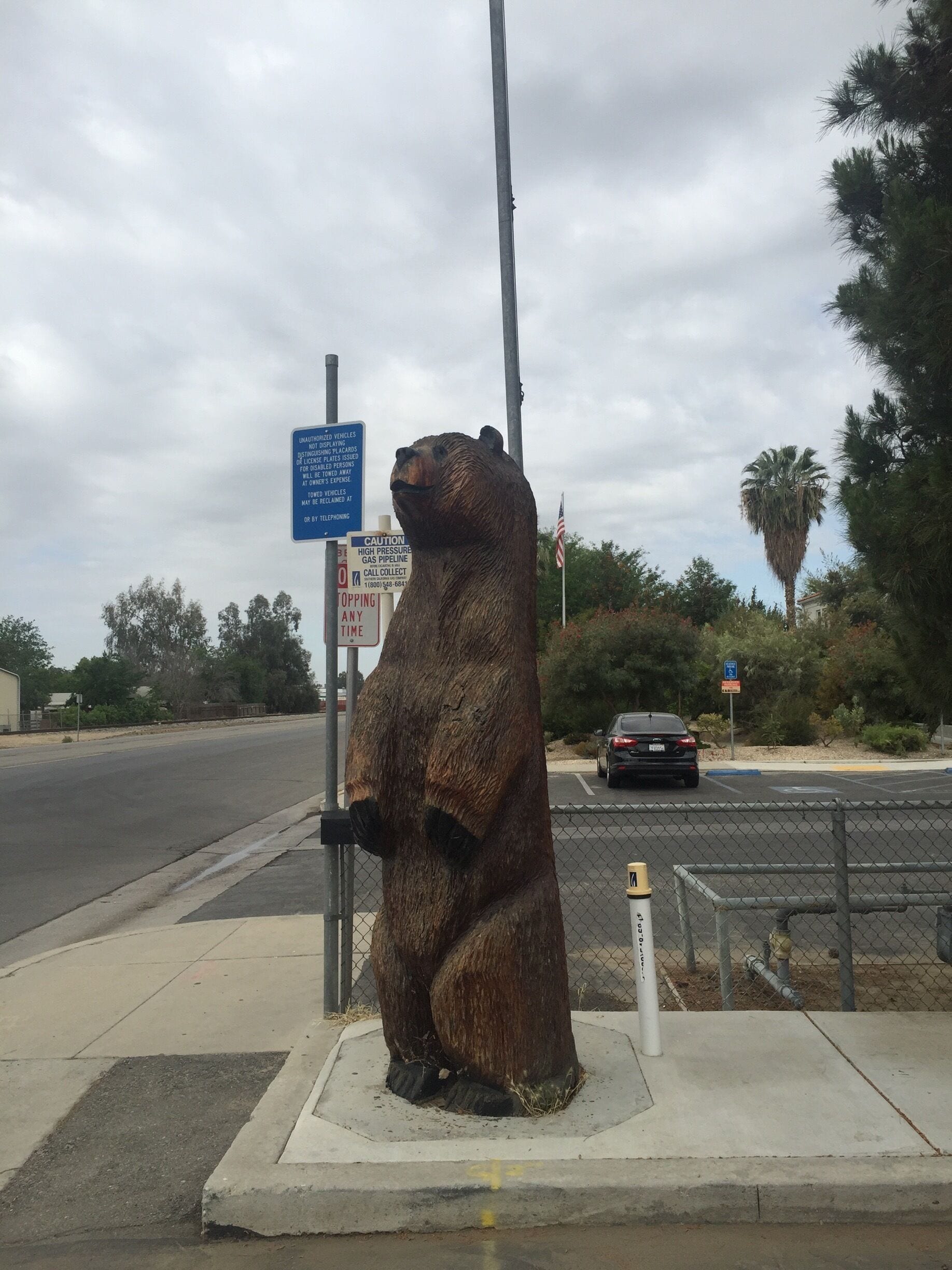 Some chainsaw carving at Copes Knotty Pine Cafe