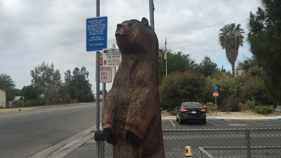 Some chainsaw carving at Copes Knotty Pine Cafe