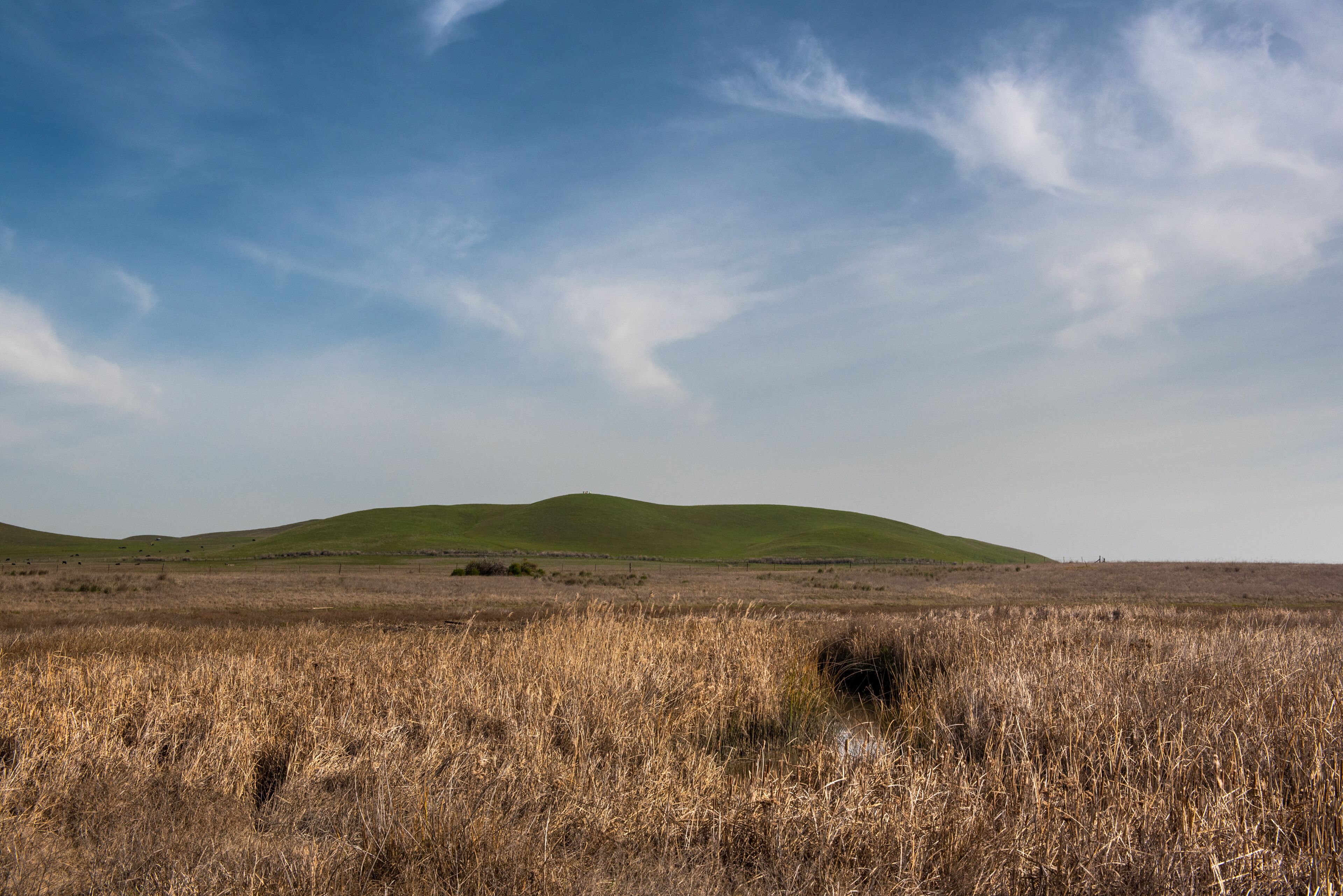 Blackish Marsh at Rush Ranch Open space a on a partly cloudy day with blue sky and plenty of sky copy-space showing a portion of the Suisun marsh, Fairfield, California, USA