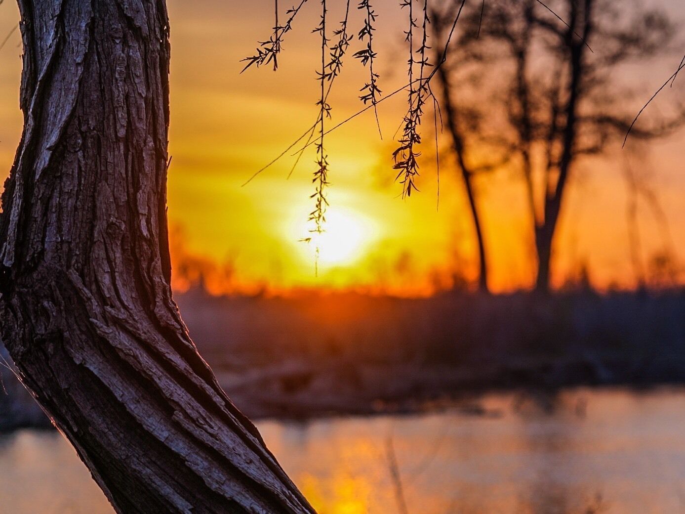 Located in the back of the small suburban town of Trophy Club, Texas. Wear shoes or boots that for muddy conditions. Be there early for the sunrise - it’s worth it.