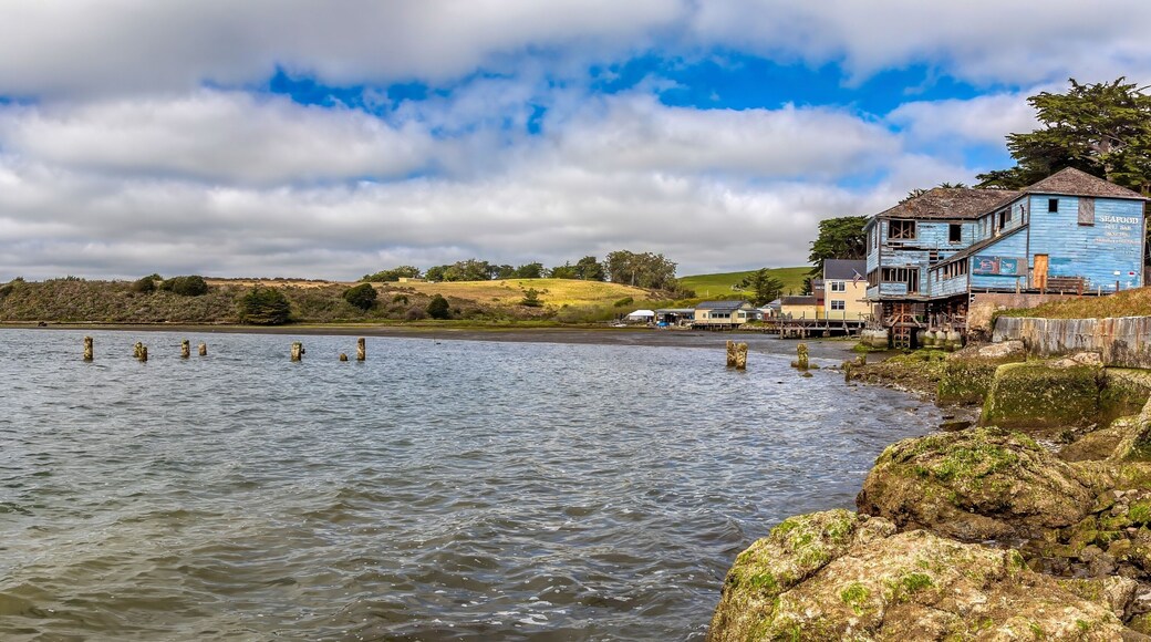 Marshall bay coastline with buildings.