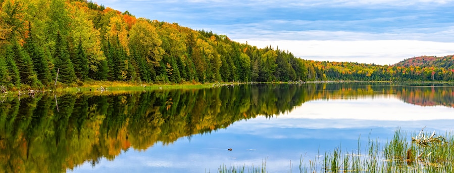 Vibrant autumn coloured foliage in a forest reflected in a tranquil lake; Lac Labelle Region, Quebec, Canada