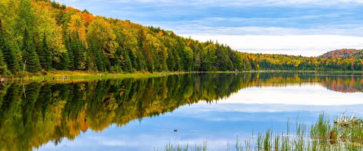 A calm lake surrounded by dense forest with autumn foliage.