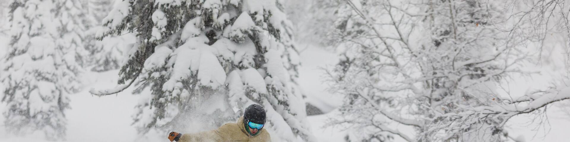 Freeride skier in the forest