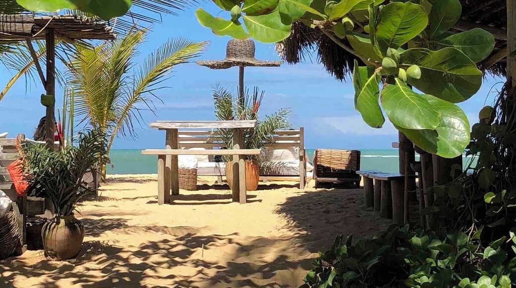 Linda praia dos Coqueiros.
Bar rústico e seleto, com drinks e petiscos deliciosos. Alugam espreguiçadeiras. Lugar com charme.