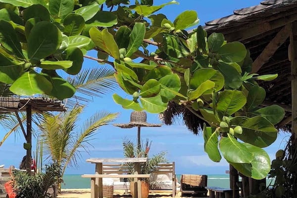 Linda praia dos Coqueiros.
Bar rústico e seleto, com drinks e petiscos deliciosos. Alugam espreguiçadeiras. Lugar com charme.