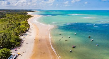 Trancoso, Porto Seguro, Bahia. Aerial view of Coqueiros beach