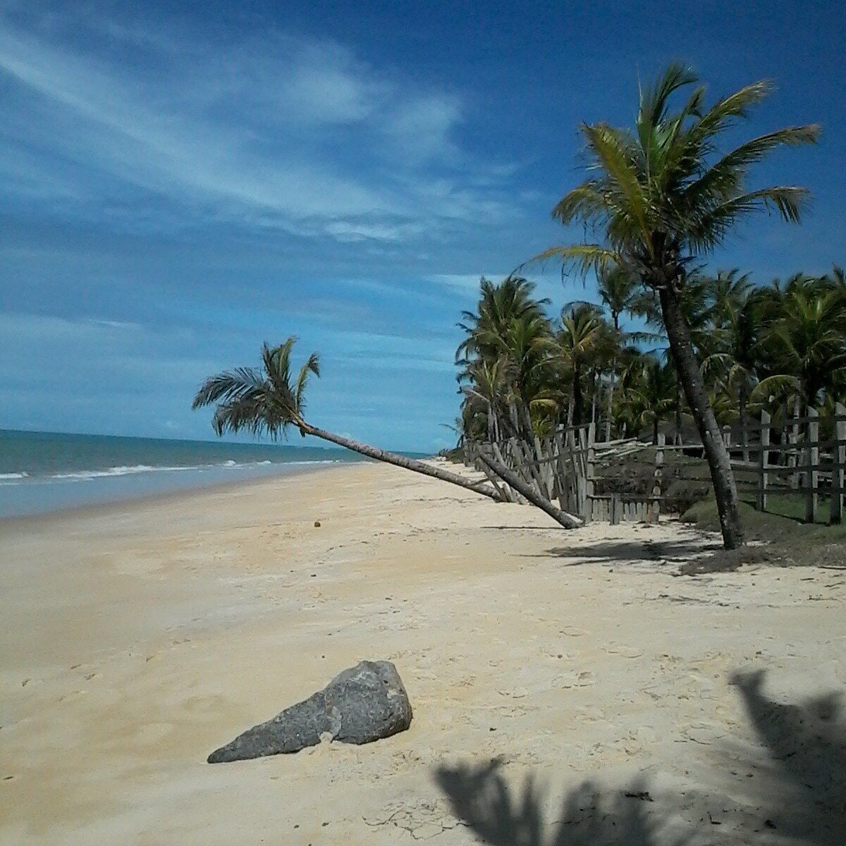 Praia dos Nativos. 
Trancoso - Bahia.