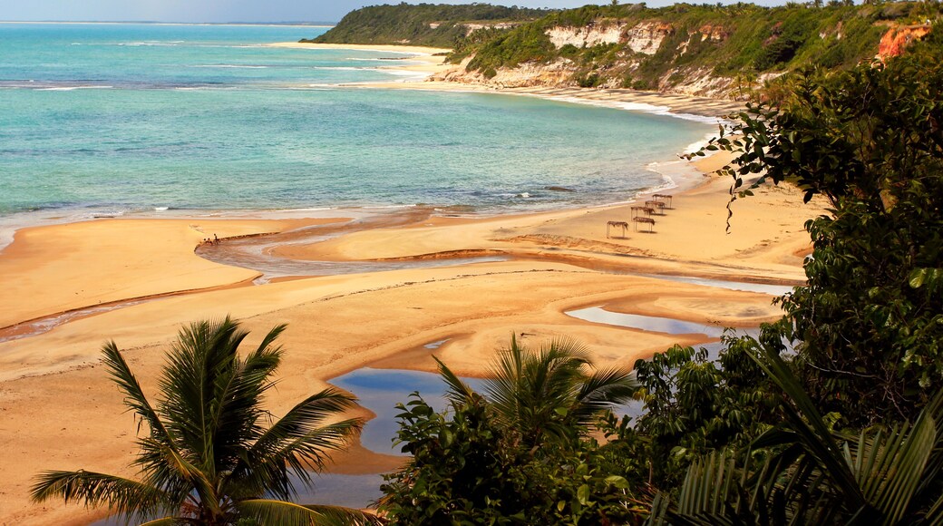 Praia do Espelho - Trancoso - Brazilian Tropical Beach