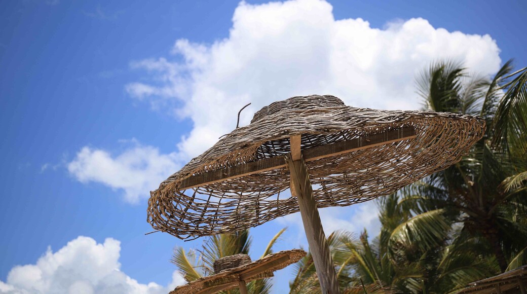 Umbrella in front Bar Uxua .The best day use in Trancoso. Ask about “caipirinha “ drink.