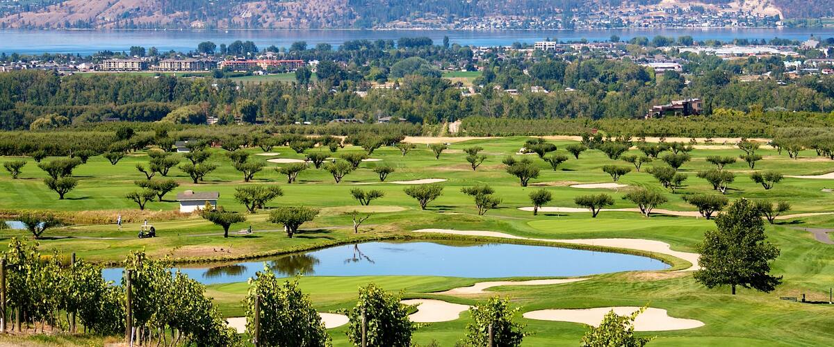 Golf course in the Okanagan valley set among vineyards and apple orchards with a backdrop of lake Okanagan