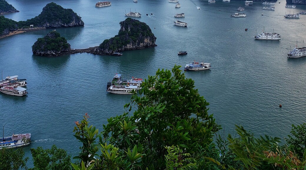 In Halong Bay on 🔝 of the beautiful Ti Top Island. This island allows you to walk about 400 steps up, and you'll get this view!
#nature