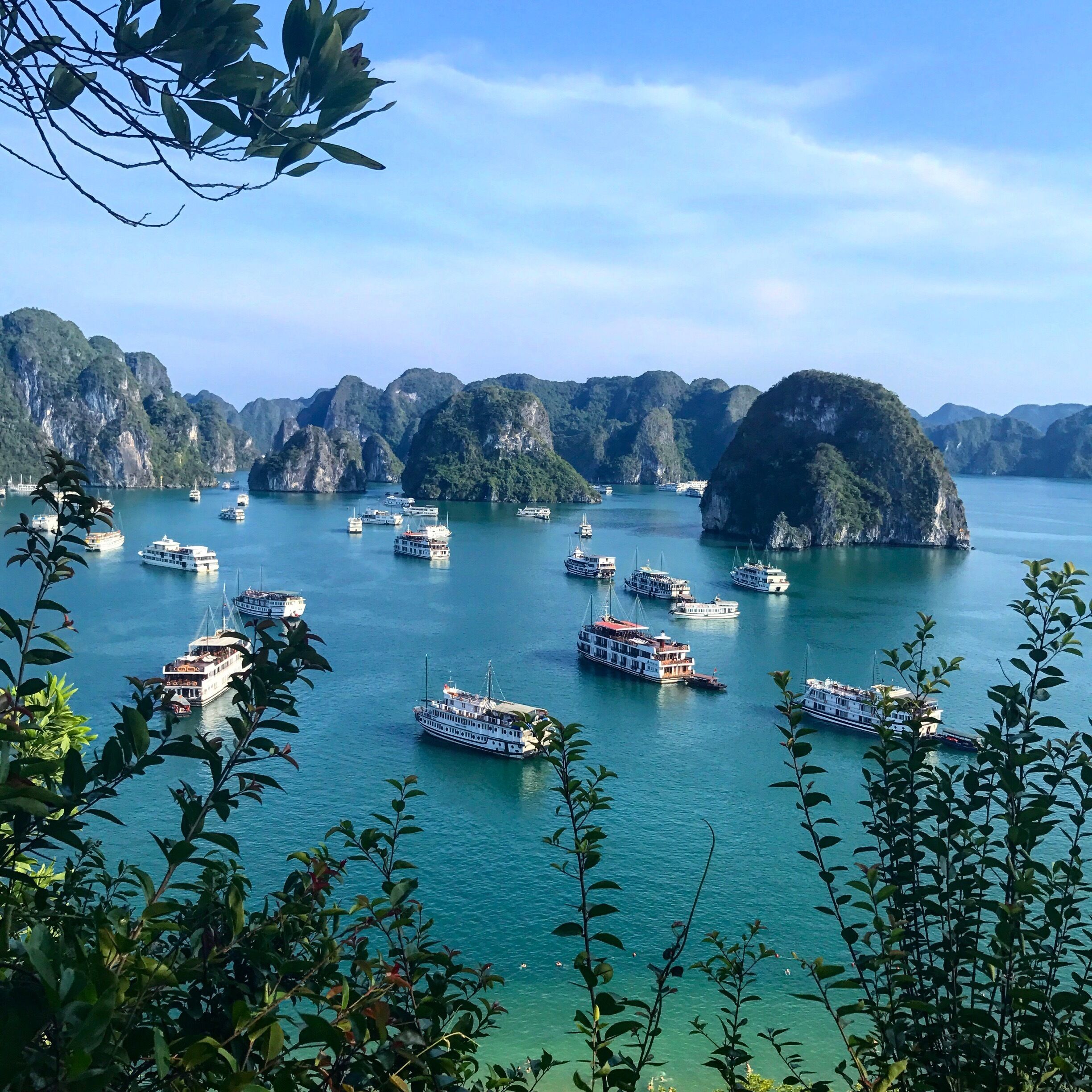 Impressive view from Ti Top island in Ha Long Bay ! Many cruise boats in high season but the landscape is just amazing • apr 2017 (Vietnam)