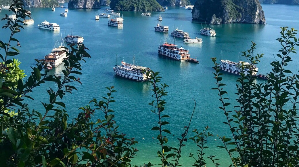 Impressive view from Ti Top island in Ha Long Bay ! Many cruise boats in high season but the landscape is just amazing • apr 2017 (Vietnam)