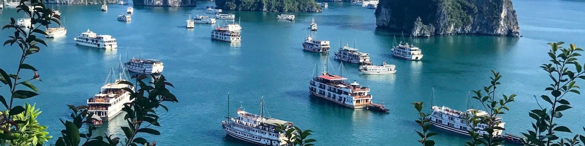Impressive view from Ti Top island in Ha Long Bay ! Many cruise boats in high season but the landscape is just amazing • apr 2017 (Vietnam)